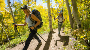 Benefits Of Hiking Poles Daily