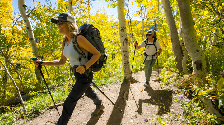 Benefits Of Hiking Poles Daily