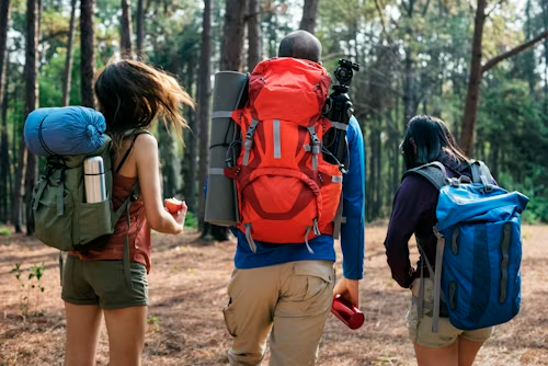 Choosing Perfect Hiking Backpacks Today